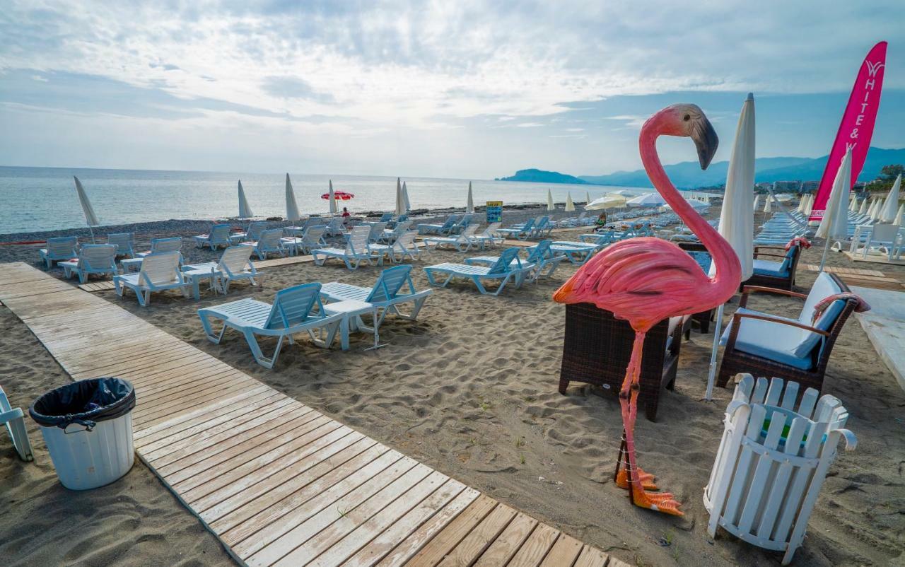 Campus Hill Hotel Alanya Bagian luar foto